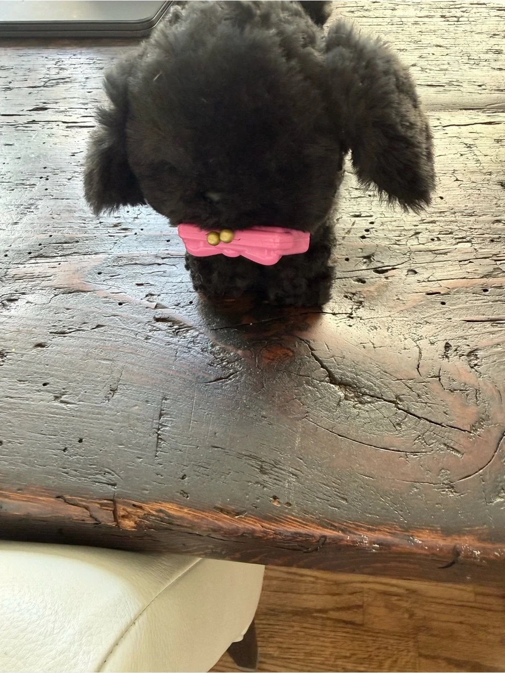 American Girl Black Plush Puppy with Pink Purse